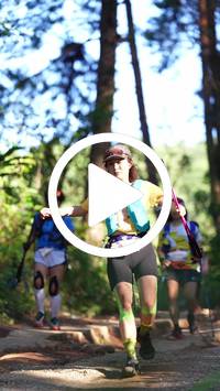 BIB:  <button type="button" onclick="openModal(26788062)" class="btn btn-primary btn-sm float-right" data-toggle="modal" data-target=".modal-high-quality">
                <i class="fa fa-download"></i> Download
                </button>